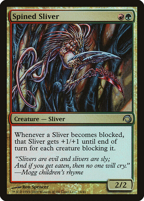 Spined Sliver