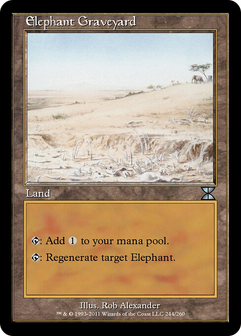 Elephant Graveyard